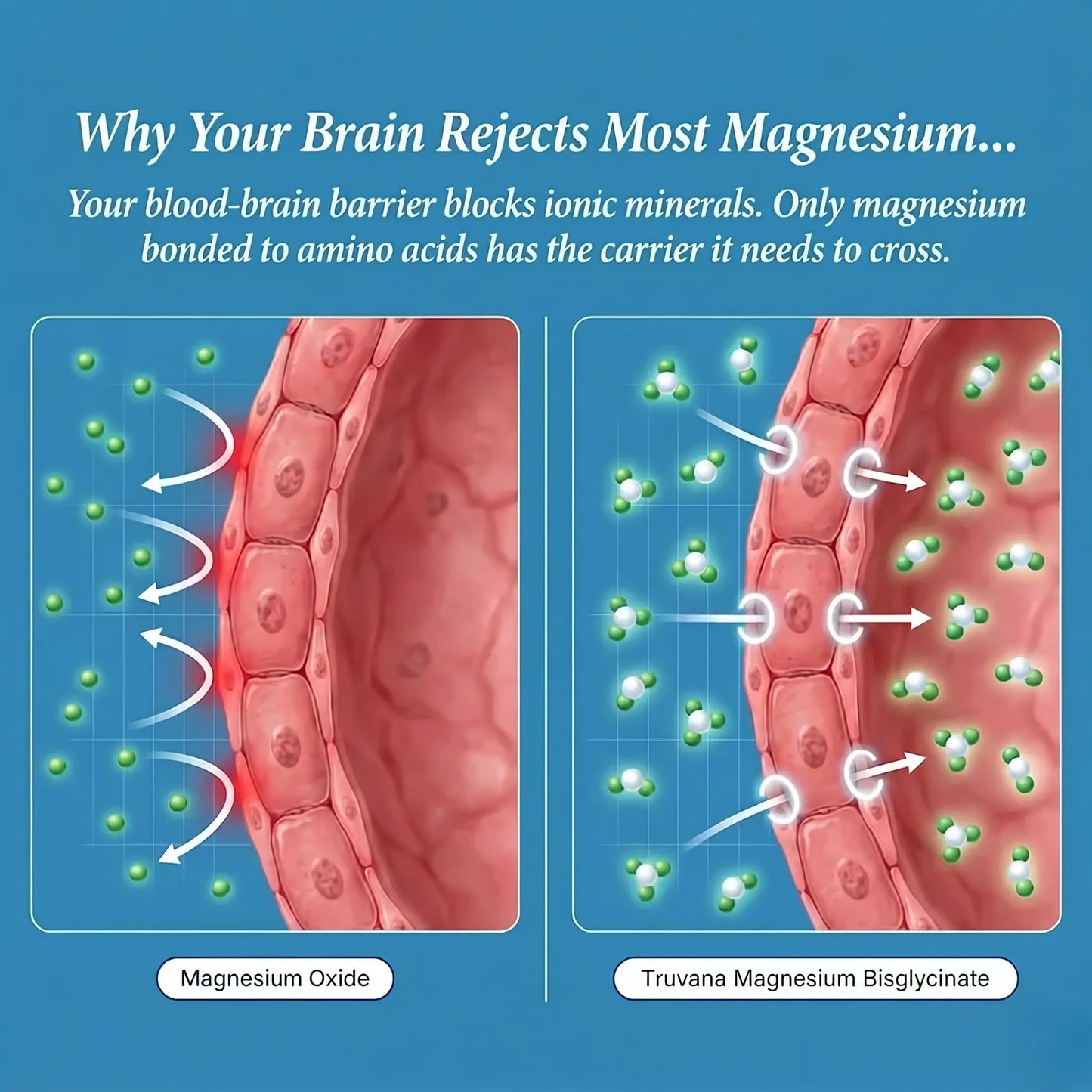 Truvana Magnesium Bisglycinate Gummies